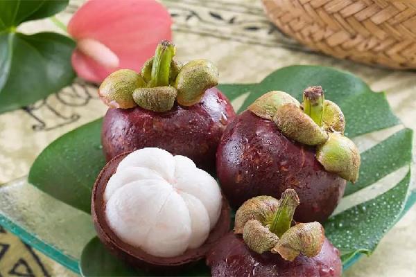 山竹要买硬的还是软的 山竹怎么看新不新鲜 山竹要买硬的还是软的 山竹怎么看新不新鲜