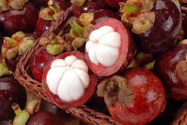 山竹要买硬的还是软的 山竹怎么看新不新鲜 山竹要买硬的还是软的 山竹怎么看新不新鲜