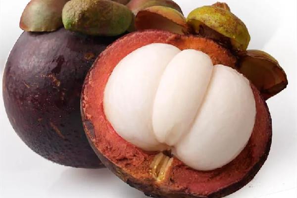 山竹要买硬的还是软的 山竹怎么看新不新鲜 山竹要买硬的还是软的 山竹怎么看新不新鲜