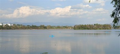 ​西双版纳橄榄坝