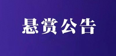 ​珠海市金湾区人民法院执行悬赏公告