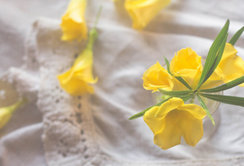 1685704755119976.png image.png