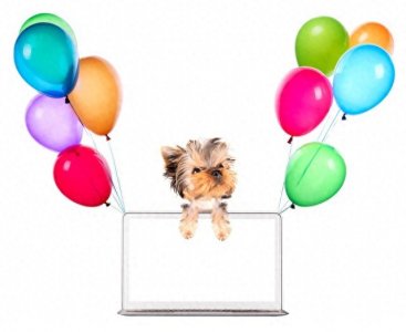 ​网上很流行但你不懂的梗