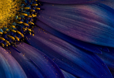 ​独特的佛系名字(精选90个)