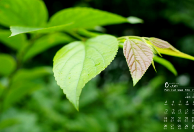 ​全新好听的成熟昵称(94个)