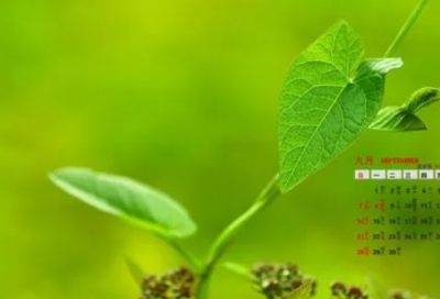 ​简单不会撞的一字网名(优选120个)