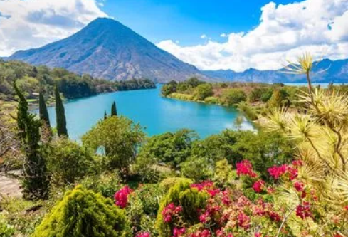 1692981115127051.png image.png