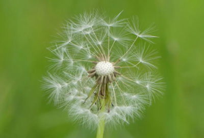 ​家有三娃有意义的网名(75个)