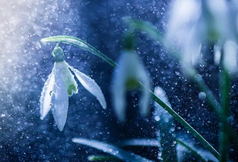 1692983104369772.png image.png