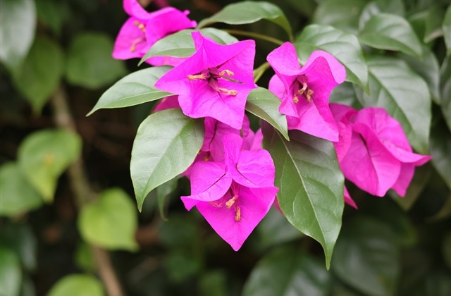 自带财气的网名抖音名字 自带财气的网名抖音名字