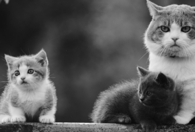 ​孙姓好听到爆的名字1300个