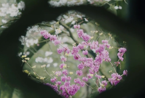 1688917132499340.png image.png