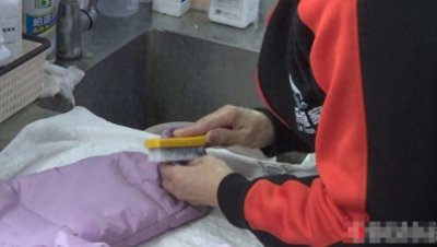 ​教您一招：这样清洗羽绒服 它不会“发脾气”