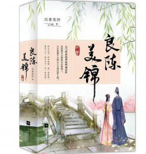 ​惊艳了岁月的古言小说:《良辰美景》