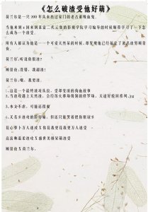 ​强推！文笔超级好耽美向、言情向小说，百刷都不厌