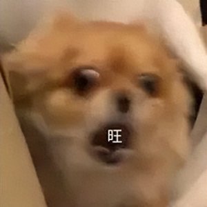 ​免费且好用的小说网站！