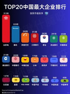 ​中国企业市值top20排行榜，哪家超出你预料?