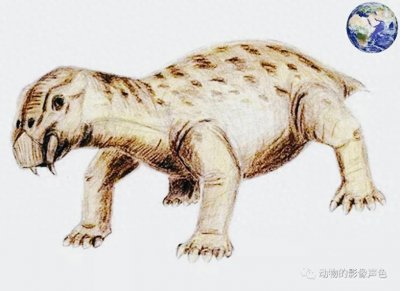 ​地球古生物——二齿兽