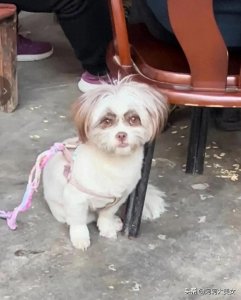 ​搞笑图片50张，张张逗你哈哈笑，开心一秒是一秒