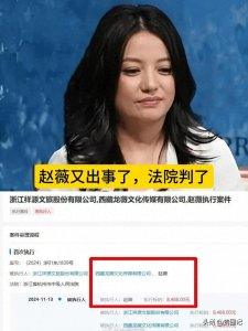 ​赵薇又出事！从万人爱到万人骂，8千块罚款让法院动真格