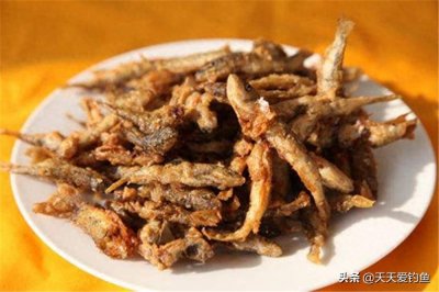 ​这些野生杂鱼，钓鱼人避之不及，吃货趋之若鹜，几种钓法可以狂拉