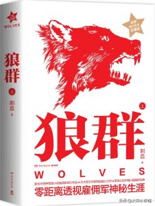 ​网文圈消失了很久的军事小说作家，如今情况如何？