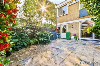 ​如果有庭院，记得种上这4种“仙树”，开花时真是迷死人