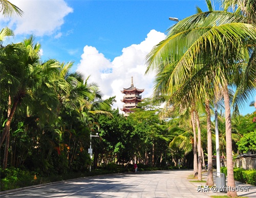 随拍公园 - 深圳海景公园