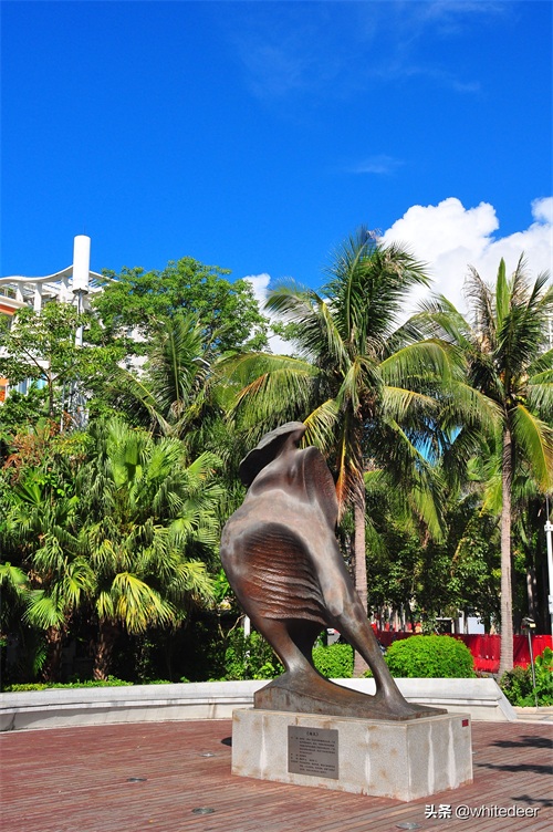 随拍公园 - 深圳海景公园