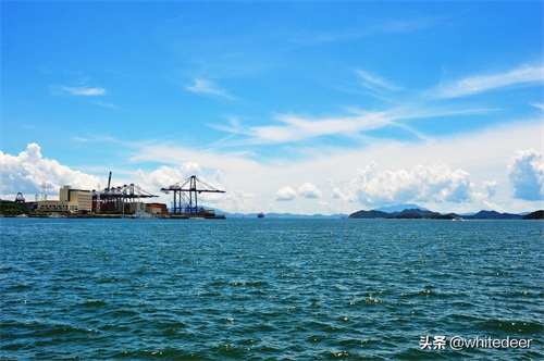 随拍公园 - 深圳海景公园