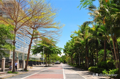 随拍公园 - 深圳海景公园