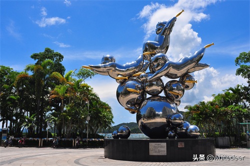 随拍公园 - 深圳海景公园