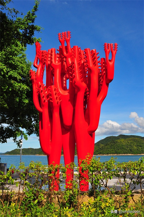 随拍公园 - 深圳海景公园