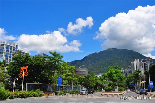 随拍公园 - 深圳海景公园