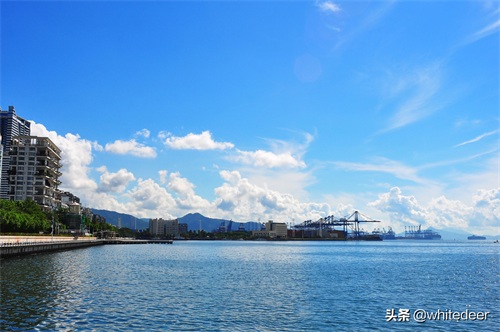 随拍公园 - 深圳海景公园