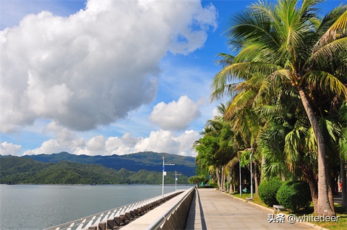 随拍公园 - 深圳海景公园