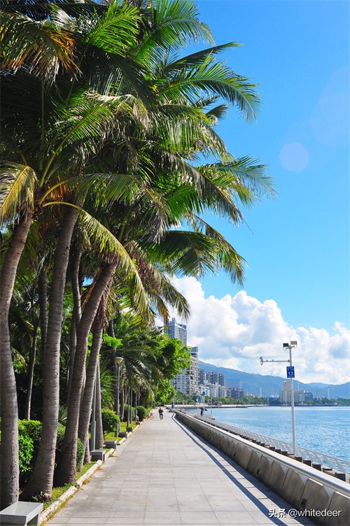 随拍公园 - 深圳海景公园