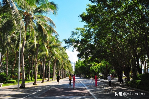 随拍公园 - 深圳海景公园