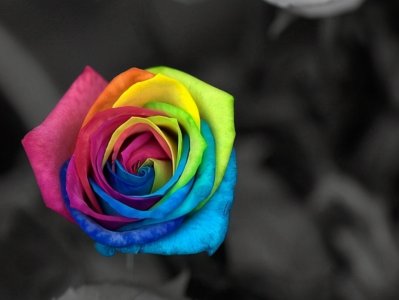 ​管理学原理中的七彩——红，橙，黄，绿，青，蓝，紫