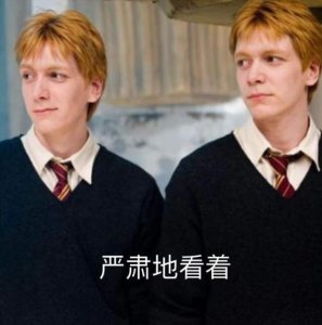 ​哈利波特深度解析之格兰芬多