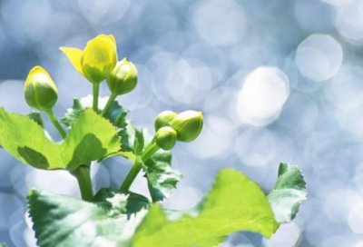 ​简短个性语录