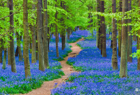 1686568995890862.png image.png