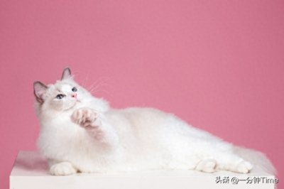 ​成为撩妹高手：五大技巧助你赢得芳心