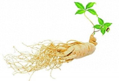 ​10月4日国家级长白山人参市场价格发布