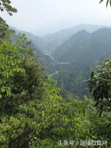 ​为什么你会“运气”不好，原来是这个原因！