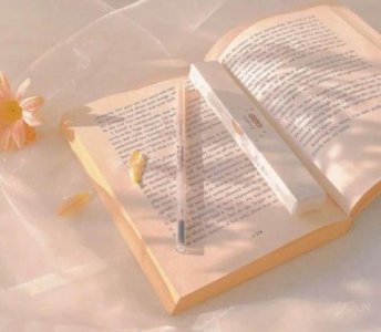 ​常用人生感悟的句子90条