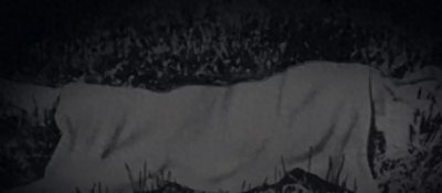 ​扑朔迷离的黑色大丽花案