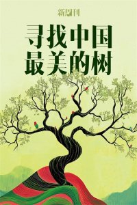 ​中国最高冷的赏花胜地，99%的人没去过