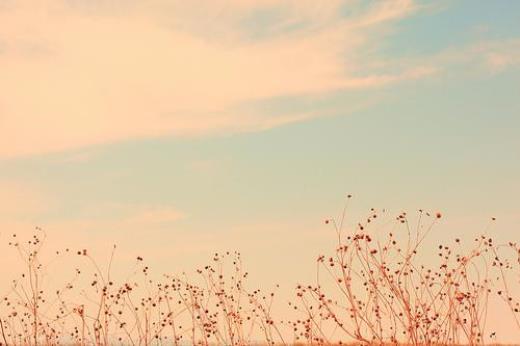 中考一句话表决心