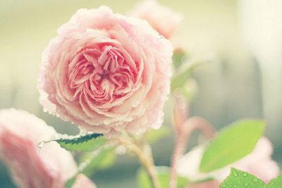 ​女生有含义的个性签名短句(精选98句)